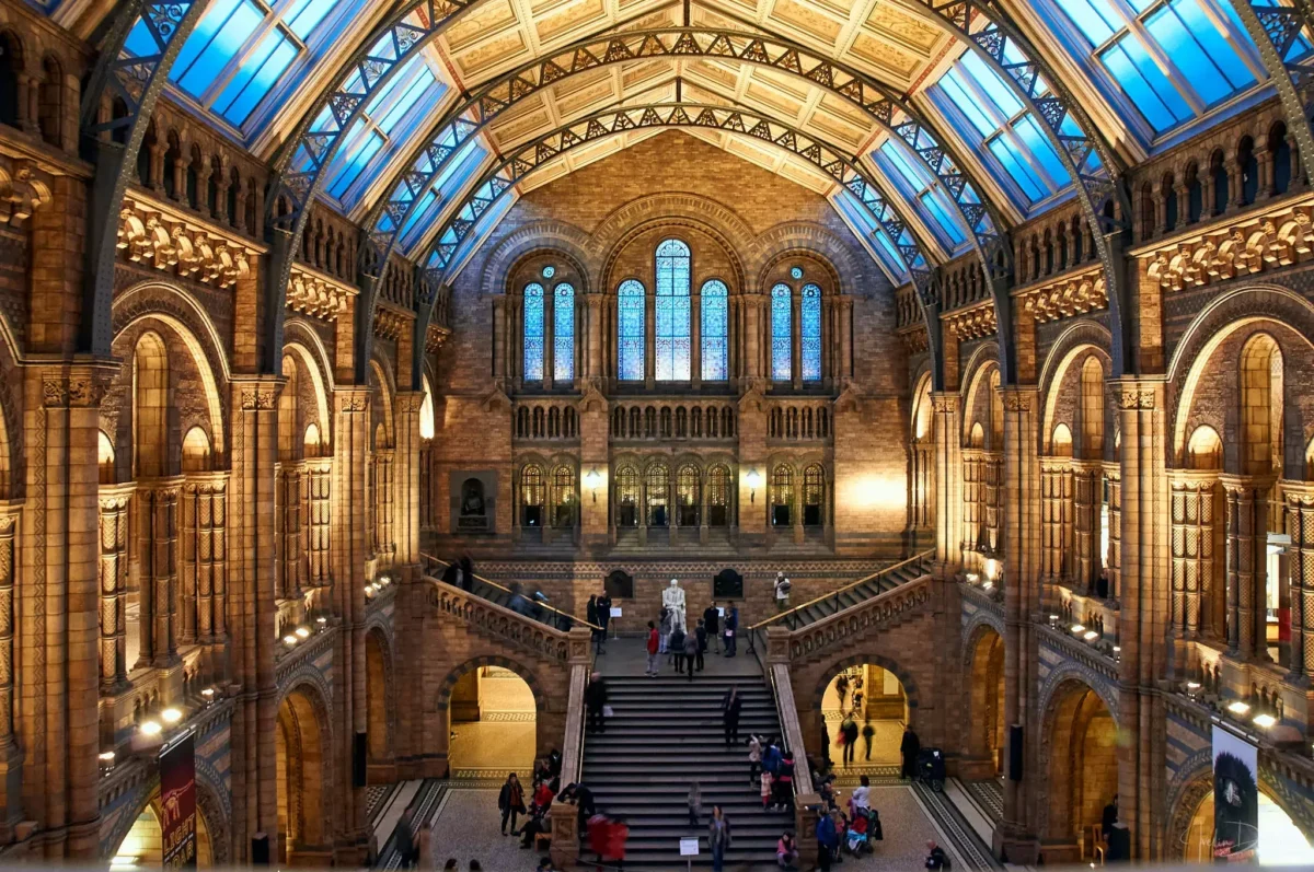Interior of the Natural History Museum in South Kensington, London—a landmark near our removals service area.