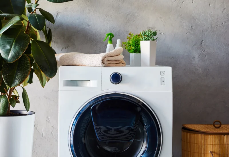 Front view of a washing machine with towel, plants, and spray bottles on top